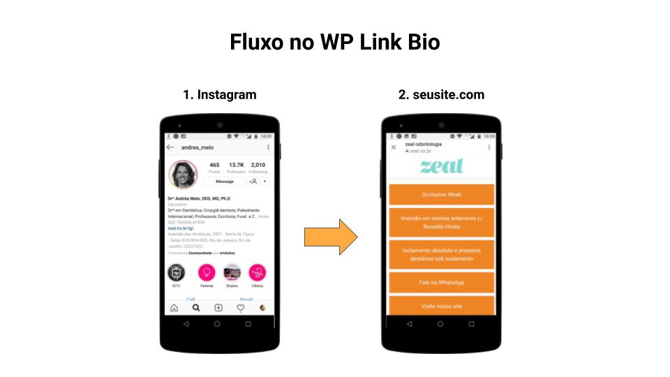 Fluxo no WP Link Bio